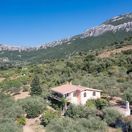 1 In Villino Filieri * Dorgali